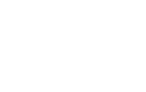 preview_full_2020_PIBB_Logo_White